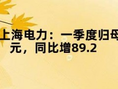 上海电力：一季度归母净利润6.34亿元，同比增89.2%