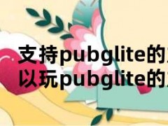 支持pubglite的加速器（可以玩pubglite的加速器）